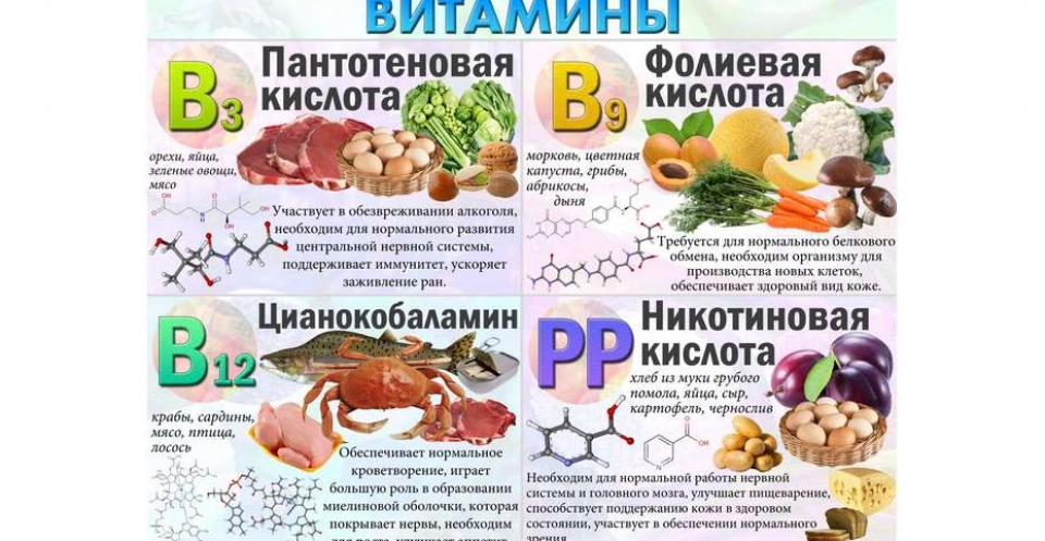 Значение витаминов в жизни человека